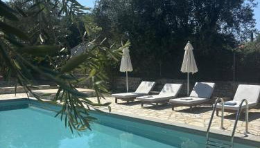 The "M" House - Photo 5