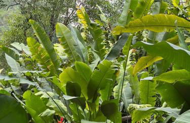 Casa 4 Suítes com com Vista para o Mar - Praia Barra do Sahy - Foto 54