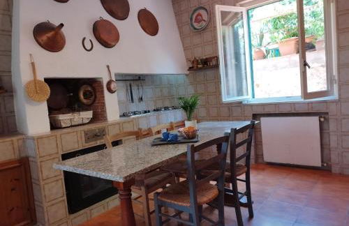 L'orchidea del faro - Foto 10