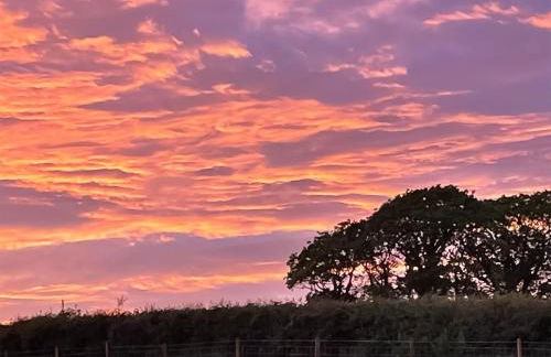 Bwthyn Y Bugail - Foto 19