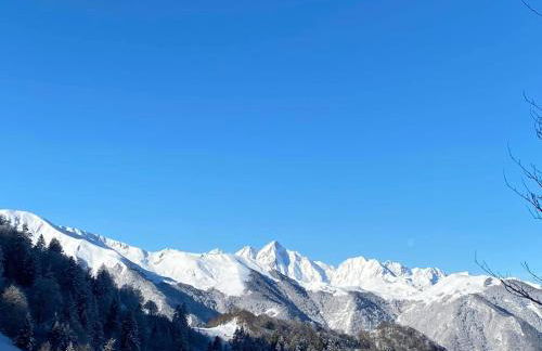 Pleine nature Pied pistes Piscine chauffée - Foto 18