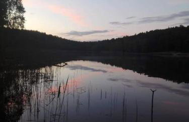 Kamińsko, Puszcza Zielonka, dom nad jeziorem - Foto 4