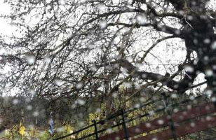 Konstantina 2 - Foto 20