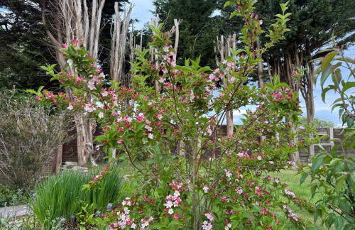 Pett Level Beach House - Foto 54