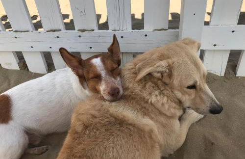 La Casa di Pamy - Foto 47