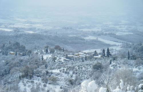 Fattoria Pogni - Foto 77