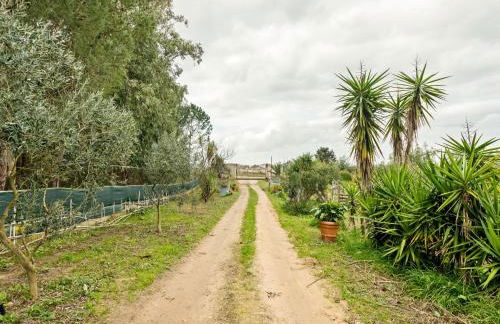 Homes in the Lagoons of Santa Giusta - Foto 71