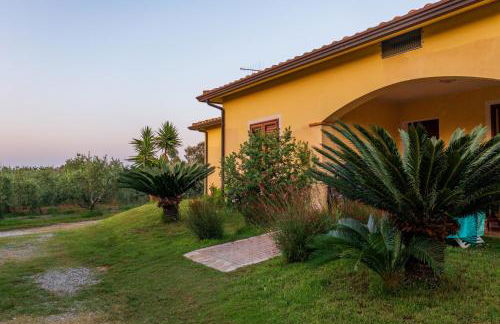 Armandiola - Foto 46