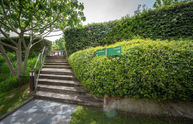 L'Arcada de Fares - Photo 51