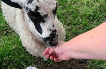 Ivy House Farm, Near Longnor - Foto 25