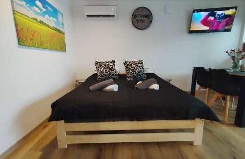 Mieszkanie Janowice - Foto 16