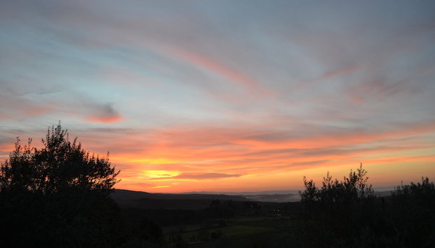 Podere Ficareto Farm - Foto 3, Miscelánea