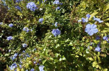 Beautiful Spacious Villa with Mountain View and Private Pool - Foto 41