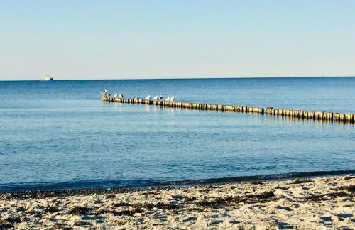 Aparthotel Waterkant Suites - Fewos am Meer mit SPA - Foto 46