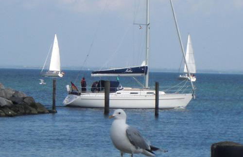 Terrassen-Fewo 'Ankerplatz' direkt am Ostseestrand - Foto 24