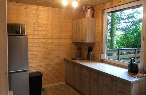 Domek letniskowy w Chojnie - Foto 1