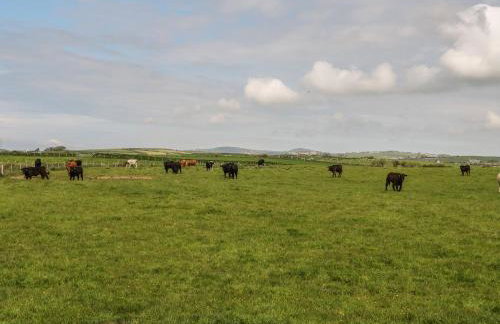 Ty Fferm Bodlasan - Foto 41