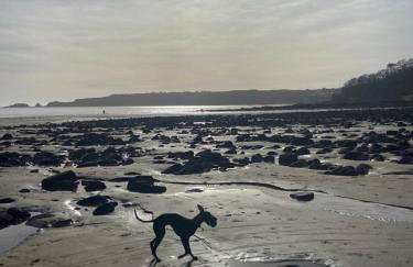 Adorable bedsit for you, partner and your pet! - Foto 33