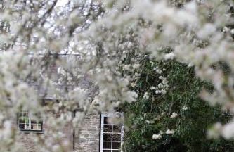 Glanhenwye Courtyard Cottages - Photo 75
