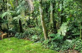 UBATUBA, SP - BRASIL - PRAIA DO FELIX - Casa do Aconchego - Foto 38