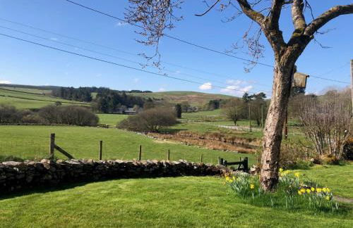 3 Bed in Cerrigydrudion 88206 - Photo 14