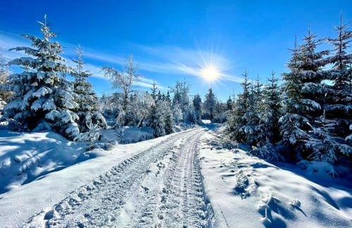 Apartament Silver - Głuszyca - Góry Sowie - Foto 27