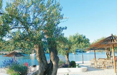 Green paradise - Photo 37