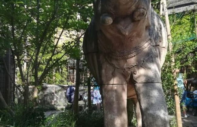 Stadtflair-Apartment - Foto 10