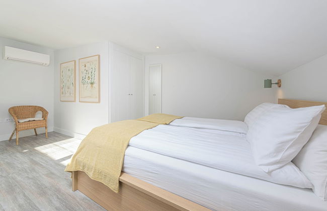 Solaga - Chinchilla - Foto 7