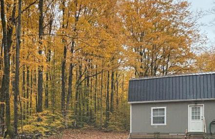 1 Bed Studio Cabin in the Woods with Kitchen - Foto 1