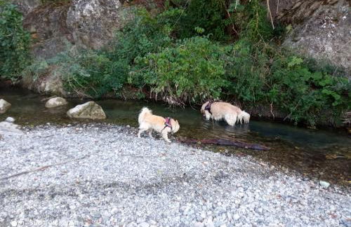 Le rose e i violini - Photo 15