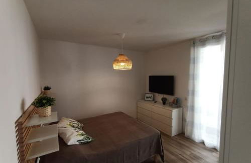 Il PolpoLeo in Porto Azzurro Isola d'Elba - Foto 28