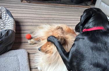 St Nicholas House - Photo 34