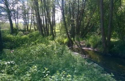 Les Gites de l étang :Studio à 20 mn de Gerardmer - Foto 45