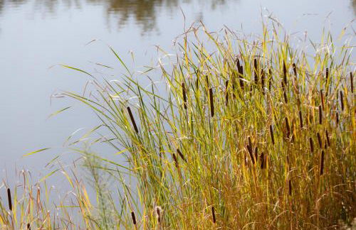 Complejo Turístico Rural Fuente Taray - Foto 79