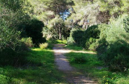 Apartamentos Los Pinos - Foto 37