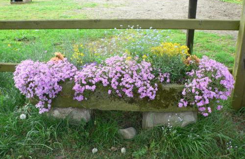 HeideZeit 3 - Foto 10