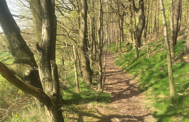 1 Twizell Lane - Foto 46