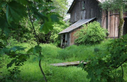 Gospodarstwo Agroturystyczne Stary Młyn Wilczkowice - Foto 26