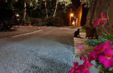 Mansarda degli Ulivi - Photo 7