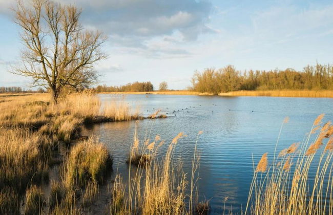 Chalet by Pond in Eindhoven Holiday Park - Photo 28