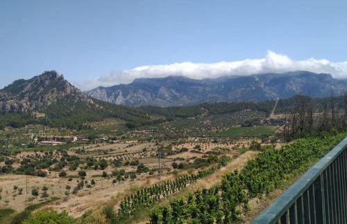 Lo Petit Delta - Foto 26