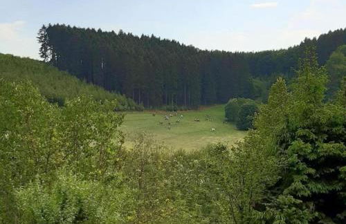 Wohnung in Silbecke mit Garten - Foto 33