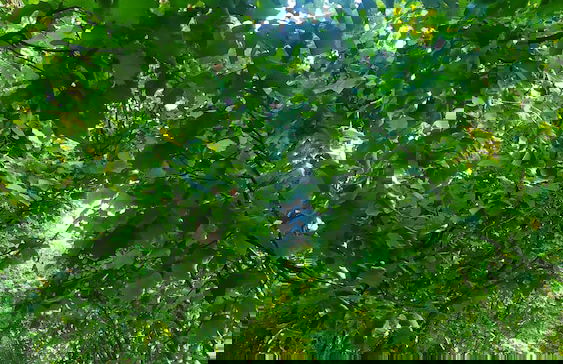 B&B Naturin - Cascina Colombaro - Photo 23