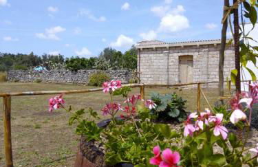 Masseria Petrore Grande di Polimeno Alessandra - Foto 6