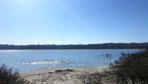 Steinwarder 9 - Haus "Seeschwalbe" ST9 017 Steinwarder 9 - Foto 5