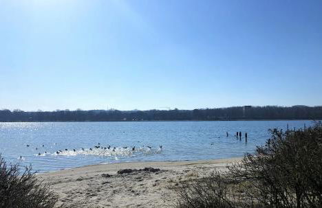 Steinwarder 9 - Haus "Seeschwalbe" ST9 017 Steinwarder 9 - Foto 5