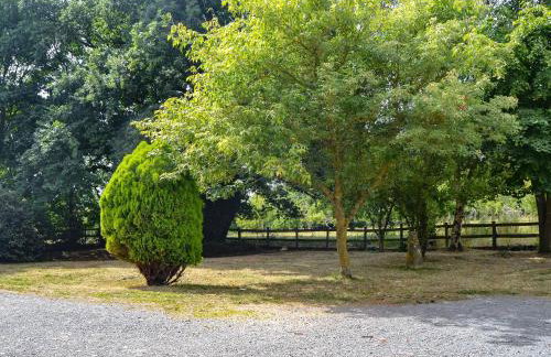 The Cider House - Foto 16