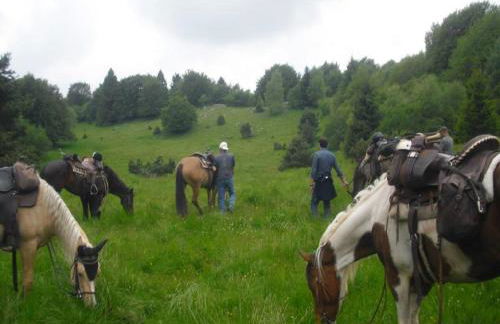 Agriturismo Campagnoletto - Foto 60