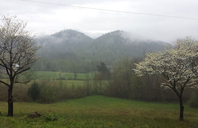 Peace Of Paradise 2 Bedroom Home by RedAwning - Foto 27